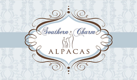 3.5"x2" Business Card Template