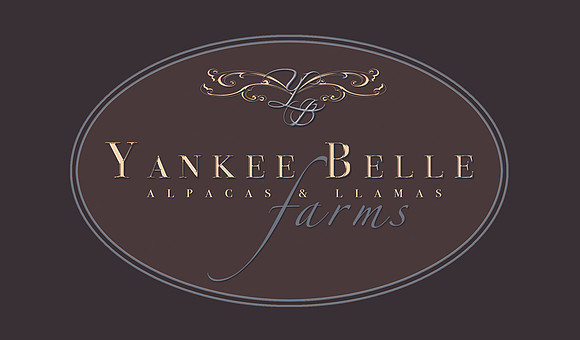 3.5"x2" Business Card Template